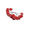 thumbnail image 2 of Dmlowu Fall String Lights, 65 inch Maple Leaf Soft Warm LED Lights, Thanksgiving Christmas Halloween Decor for Indoor Outdoor Table Window Mantel, 2 of 6