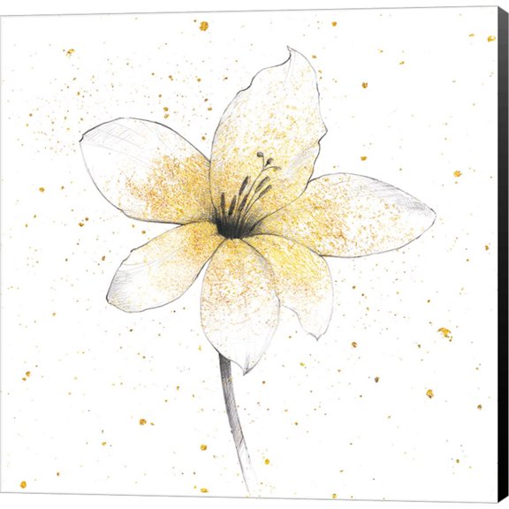 Gilded Graphite Floral II by Avery Tillmon, Canvas Wall Art