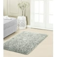 thumbnail image 1 of Sophia Plush 27x45 Accent Rug, Grey, 1 of 4