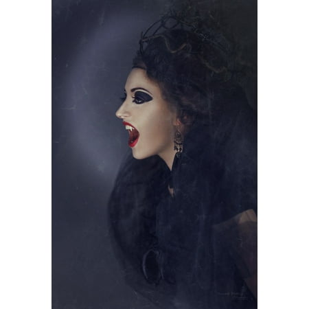 - Canvas Print Creepy Sorceress Vampire Mystical The Witch Stretched Canvas 10 x 14