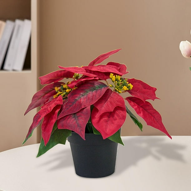simhoa Christmas Artificial Poinsettia Plant Artificial Bonsai Desktop  Ornament Decorative Artificial Plants for Winter Home Holiday B - Walmart.ca
