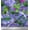 Medium Purple, variant on Soimoi Cotton Duck Fabric Orchid,Palm & Monstera Tropical Print Fabric by Yard 42 Inch Wide
