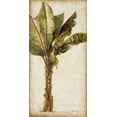thumbnail image 2 of Pinto, Patricia 18x32 White Modern Wood Framed Museum Art Print Titled - Tropic Banana I, 2 of 4
