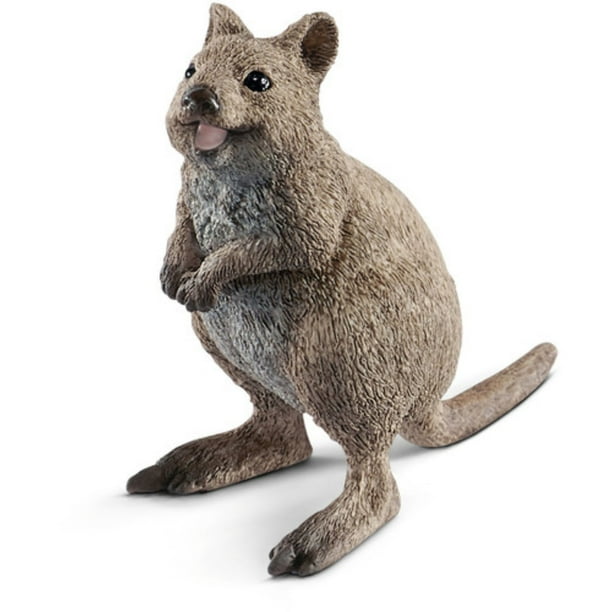 soft toy quokka