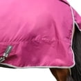 thumbnail image 4 of StormX Empra 200 Combi Combo Neck Horse Turnout Rug, 4 of 4