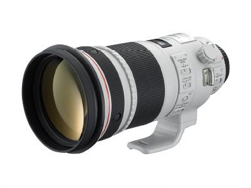 Canon EF - 300mm f/2.8 IS II L-series Telephoto USM lens
