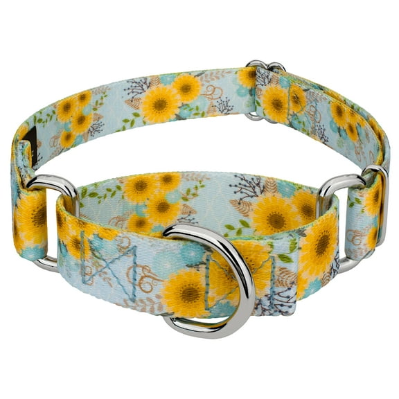 Country Brook Petz® Sunny Days Martingale Dog Collar, Medium