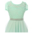 thumbnail image 3 of Little Girl Cap Sleeve Lace Tulle Pearl Belt Pageant Party Flower Girl Dress USA Mint 4 JKS 2122 BNY Corner, 3 of 5
