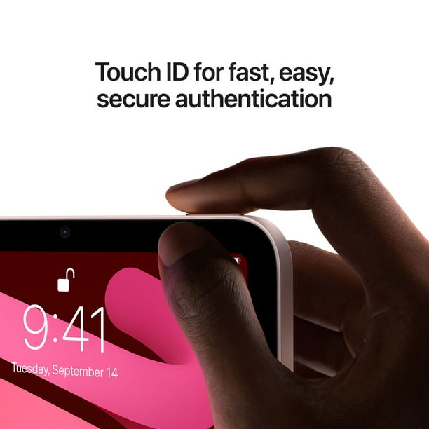 Apple iPad Mini 6 (2021, 64 Go, Wi-Fi, rose) (MLWL3LL/A) reconditionné avec  pochette à fermeture éclair marocaine violette + kit de nettoyage d'écran 