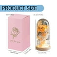 thumbnail image 3 of DJN Home & Garden Elegant Preserved Roses In Glass Dome With Warm LED Light – A For All Occasions, 3 of 9