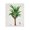 Tropical Vintage Palm Leafy Botanical, variant on Stupell Industries Bohemian Coastal Palms Vintage Canvas Art, 16 x 20, by Val Rhodes