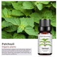 thumbnail image 4 of Fiudx Aceite de Aromaterapia, Aceite Esencial de Pachulí, Mezcla para Aliviar La Tensión, Fórmula para El Apoyo Respiratorio, Potenciador de La Circulación, Ingrediente de Perfume Natural, Solución p, 4 of 6