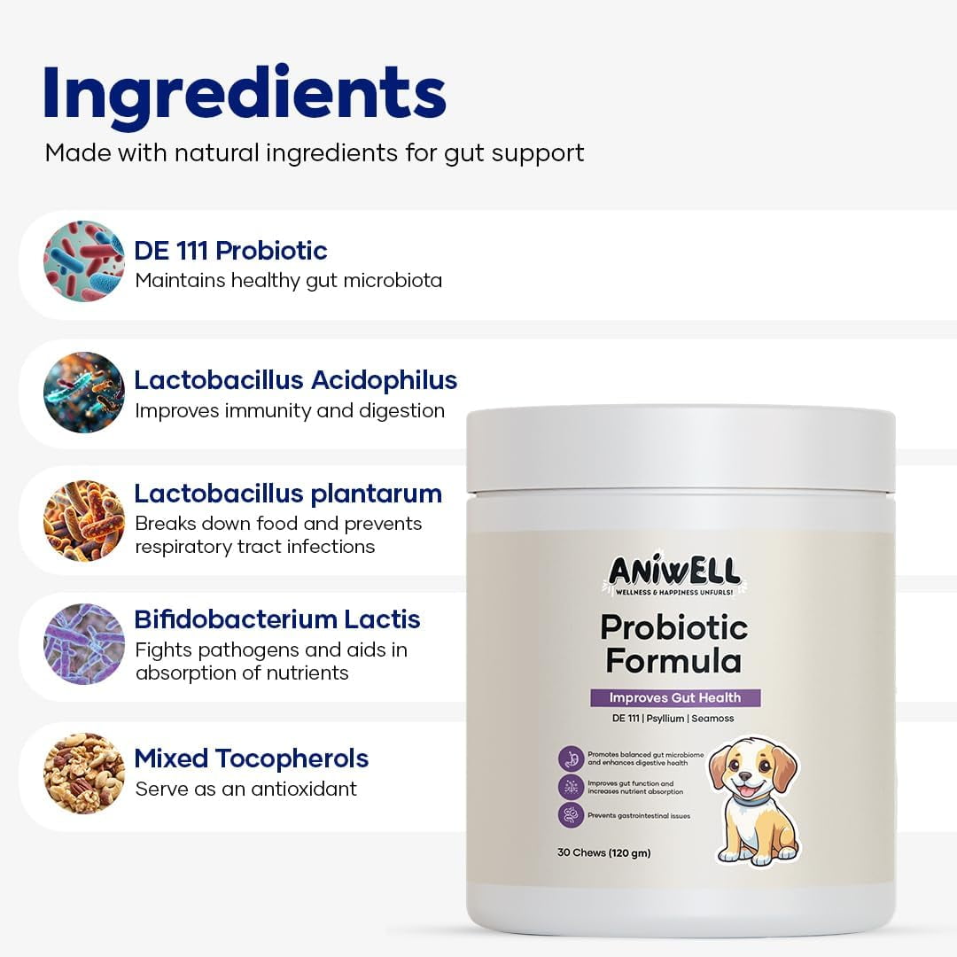 Aniwell Probiotics Chews for Digestive Health: Powered by Mixed Tocopherols, Supports Gut Health, Digestive Balance & Allergy Relief - Soft Chews | Pack of 3