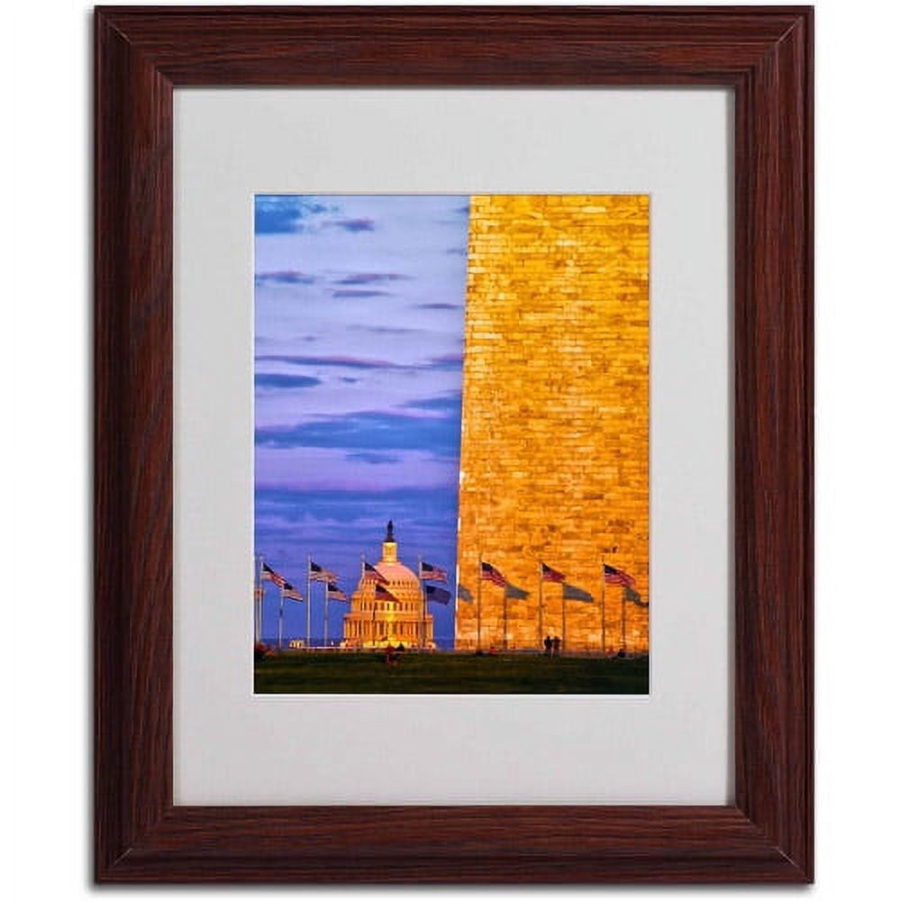 Trademark Fine Art "America" Canvas Art by CATeyes, Wood Frame