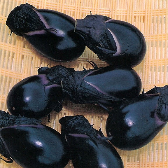 Eggplant Seeds - Konasu - 500 Mg Packet ~113 Seeds - Non-GMO, Heirloom - Asian Garden Vegetable