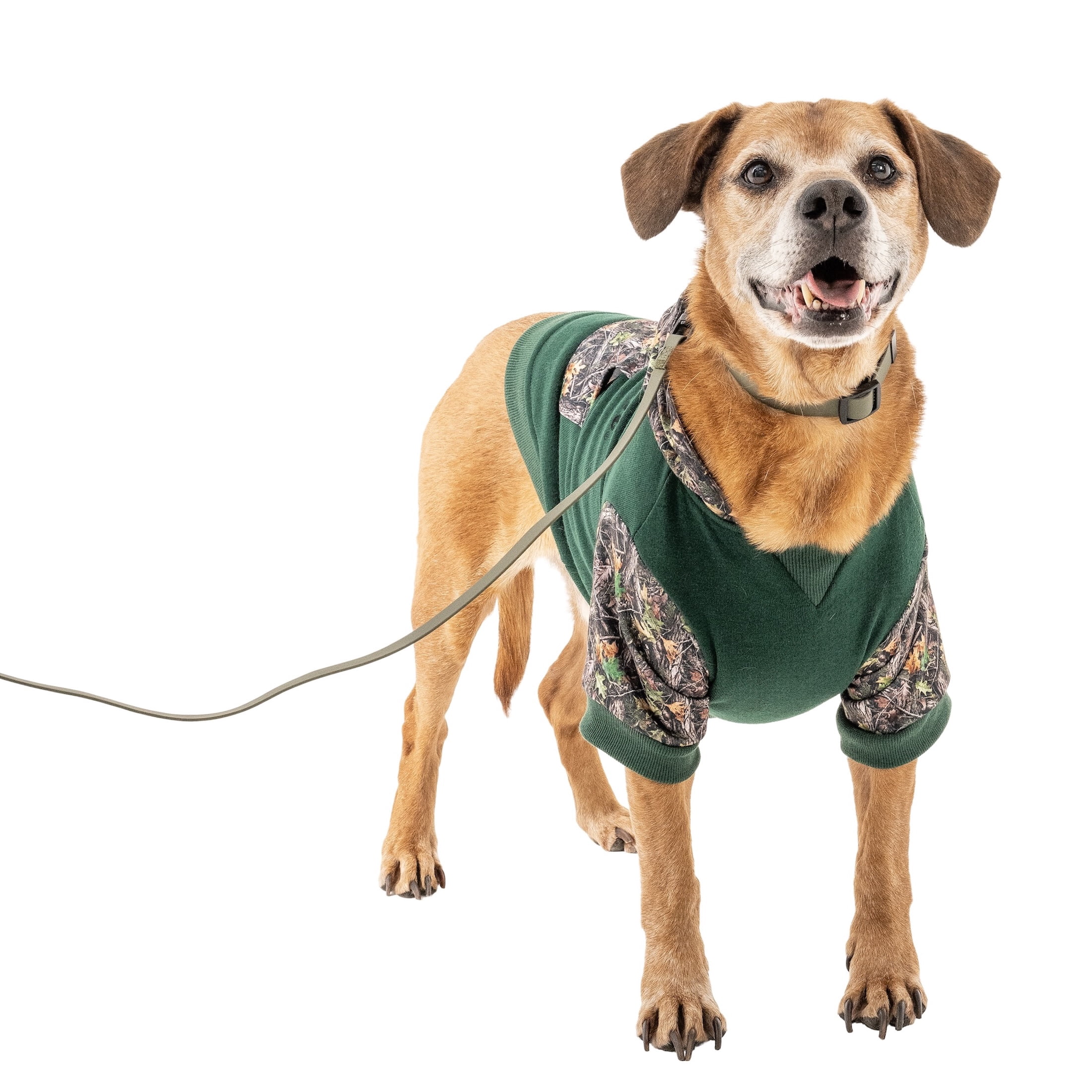 Remington Camo Logo Pet Hoodie for Dogs, Sage, Size M