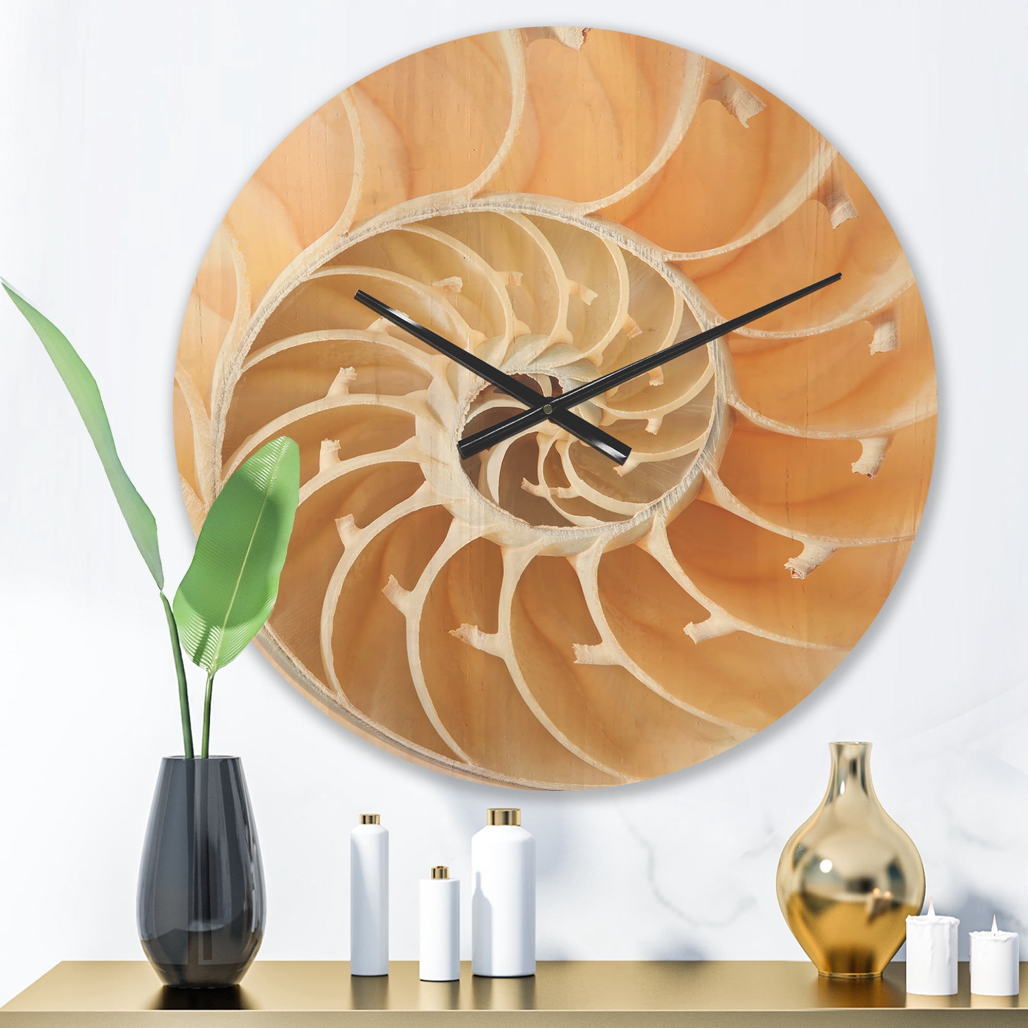 Designart 'Close Up Brown Nautilus Shell Pattern ' Modern Wood Wall Clock