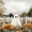 Halloween Pumpkin Field, variant on FORMRS 1-Subject Spiral Notebook 8" x 5" College Ruled 60 Refillable Sheet A5 Hard Cover, Halloween Pumpkin