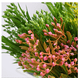 thumbnail image 4 of Nvzi 6 flores artificiales de carambola, flores falsas, flores artificiales para decoración de bodas, 4 of 5