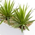 thumbnail image 3 of Nearly Natural Mini Agave Artificial Plant in Rectangular Ceramic, 3 of 5