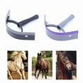 thumbnail image 6 of 2 Pack Horse Sweat Shaver, Horse Supplies Easily Wick Water and Sweat Easy to Operate Horse Grooming Supplies, 6 of 7