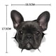 thumbnail image 3 of Pegatinas de pared de perro 3D - Paquete de 2 - Pegatinas decorativas divertidas - Calcomanías de perro bulldog francés negro para, 3 of 4