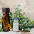 thumbnail image 5 of 20pcs Glass Vials Small Glass Storage Bottles Liquid Medicine Vial With Caps 3ml, 5 of 5