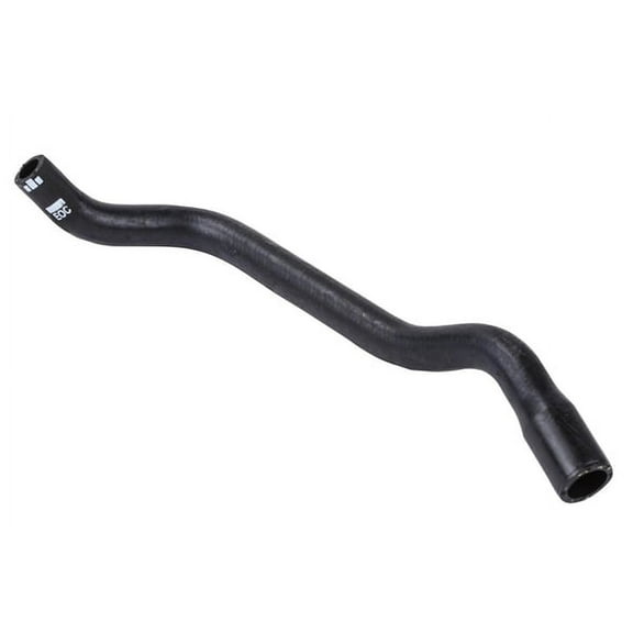 Radiator Outlet Hose