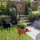 thumbnail image 4 of Perro De Metal Estaca De Jardín Labrador Silueta Escultura Animal Para Decoración Al Aire Libre Moyic HA042538-02, 4 of 6