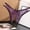 Purple, variant on Womens Cotton Underwear Underwear For Women Thong Casual Tie Comfort Waist Green L