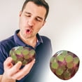 thumbnail image 1 of JMYHOAM Balle de Ventilation en Pulpe de Raisin Verte Jeu de Décompression en Liquidation, 1 of 9