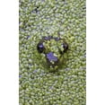 thumbnail image 2 of Delisle, Gilles 22x32 Black Ornate Wood Framed with Double Matting Museum Art Print Titled - Canada, Quebec Green frog in duckweed water, 2 of 4