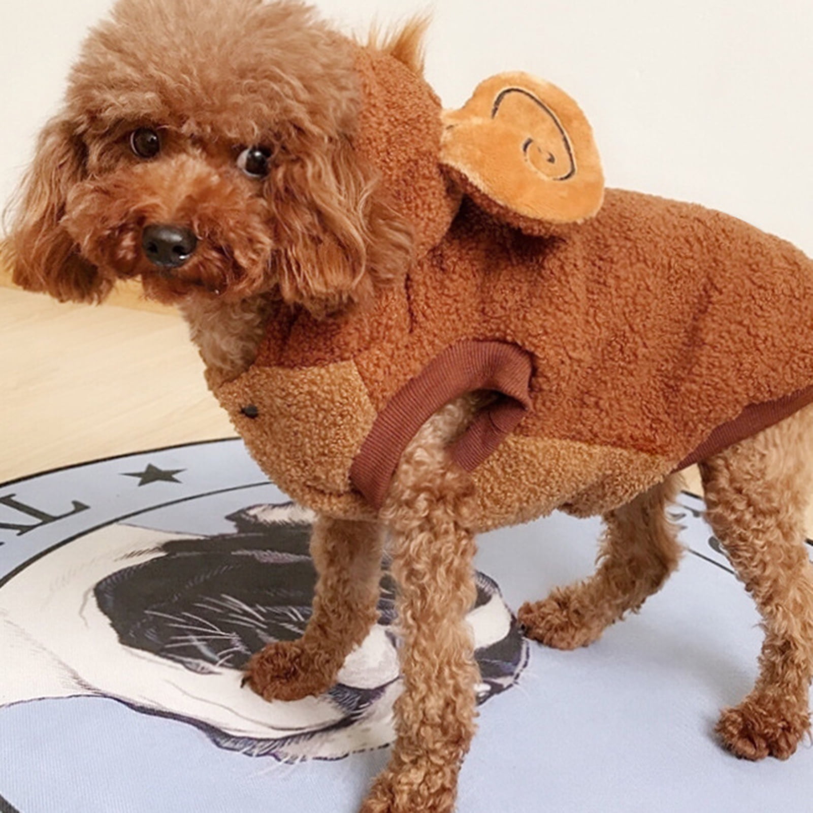 GXSR Dog Monkey Dress-up Costume for Winter Cotton Pet Cat Coat Jacket for  Small Dog Funny Clothes Hoodie 