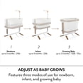 thumbnail image 5 of Evenflo Cora 3-Level Adjustable Bassinet (Truffle Taupe), 5 of 11