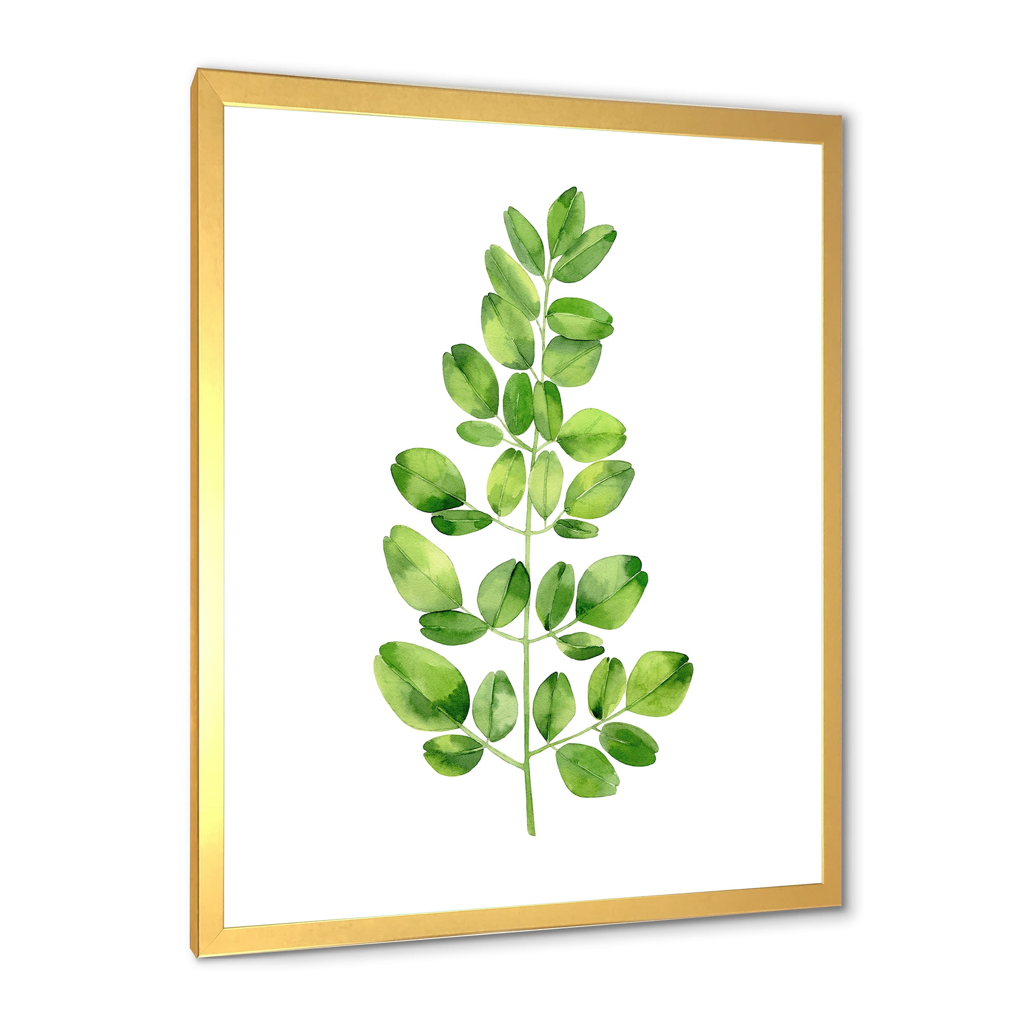 Moringa Plant Branch Tropical Tree Foliage 20 in x 20 in Framed Painting Canvas Art Print, by Designart