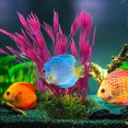 thumbnail image 3 of SHOWERORO 2Pcs Delicate Aquarium Grass Tank Plants For Home And Office Decoration, 3 of 4