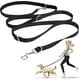 thumbnail image 1 of Correa para perro, correa para perro manos libres, regalo multifuncional para entrenamiento de cuerda para perro, 1 of 5