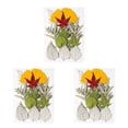 thumbnail image 3 of Kearding Hojas secas naturales Artesanías en relieve Plantas Hojas prensadas Joyería verde Decoración Postal decorativa Hoja verde 9 Type1 NO1, 3 of 6