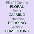thumbnail image 4 of Plant Therapy Blissful Dreams Pre-Diluted Essential Oil Roll-On Blend 10 mL (1/3 oz) 100% Pure, Natural Aromatherapy, 4 of 9
