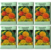 Valley Greene (6 Pack) 275 mg/Packages Calendula Pacific Beauty Mixed Colors Seeds