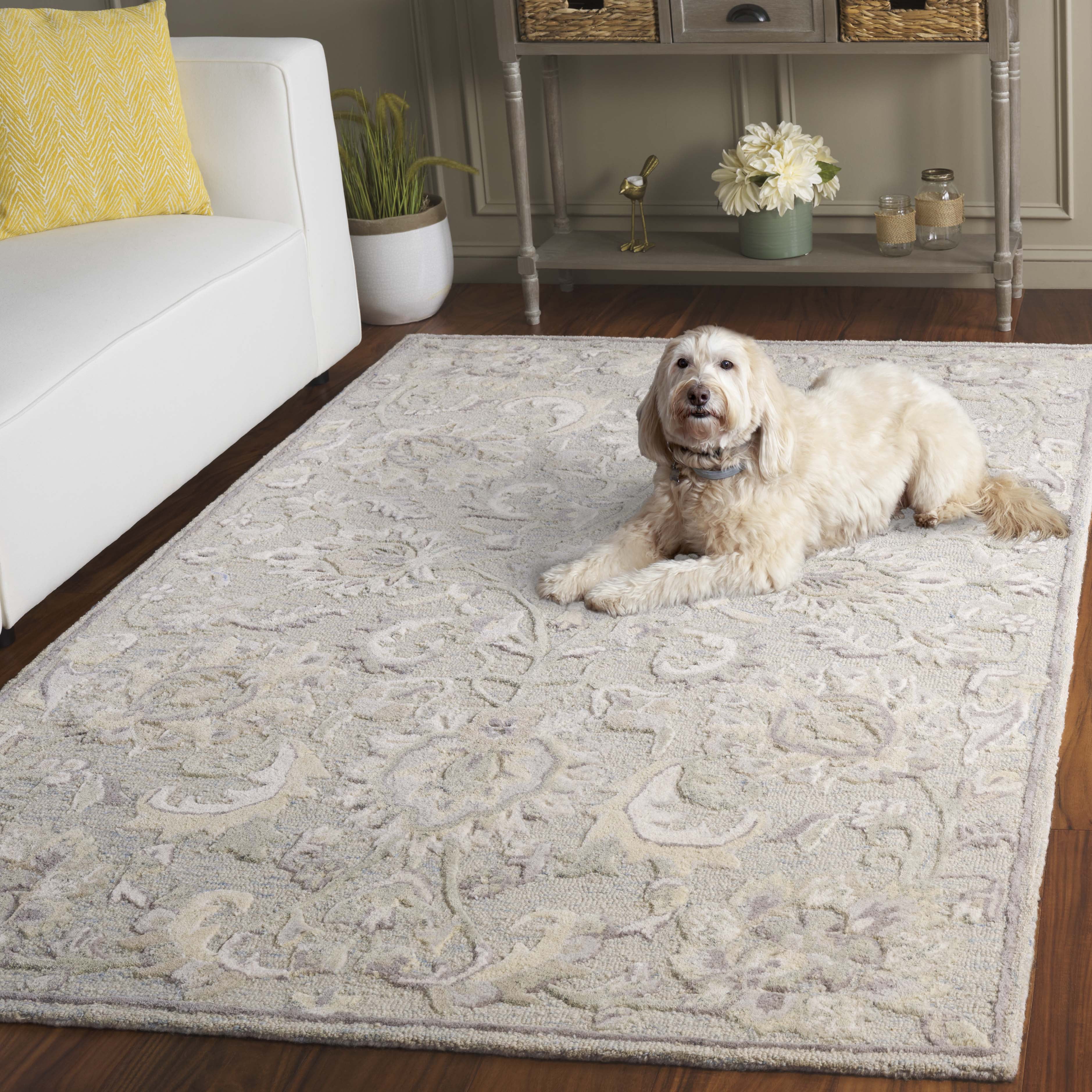 SAFAVIEH Glamour Catrine Bordered Wool Area Rug, Light Blue/Ivory, 4' x 6'