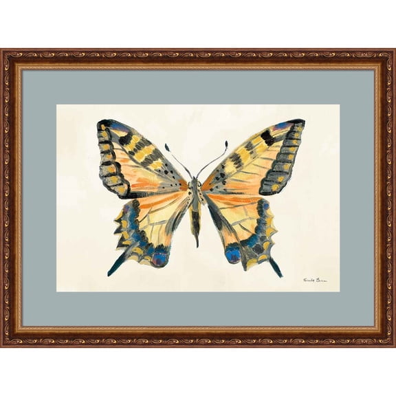 Great Art Now Butterfly Study II by Farida Zaman, Framed Wall Art, 24.75W x 18.75H