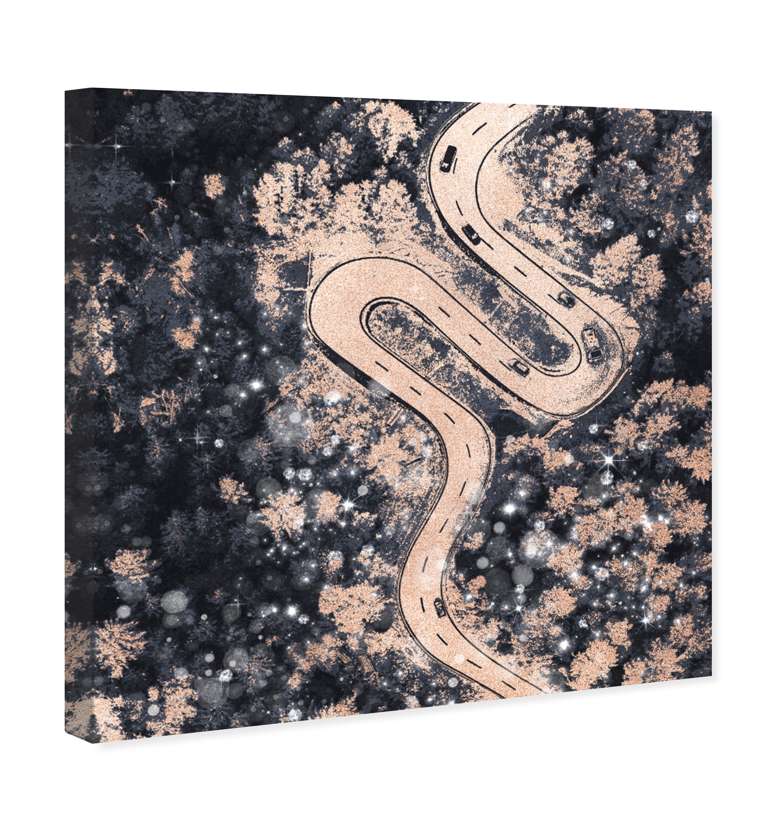 Forest Lights Nature and Landscape Wall Art Print Black 20x20
