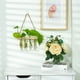 thumbnail image 4 of Colgante de pared Tubo de ensayo Jarrones Planta hidropónica Propagador Terrario Mini Lindo Purificar Estaciones de propagación para habitación Oficina Balcón Color de madera Monstrate HA011390-02B, 4 of 7