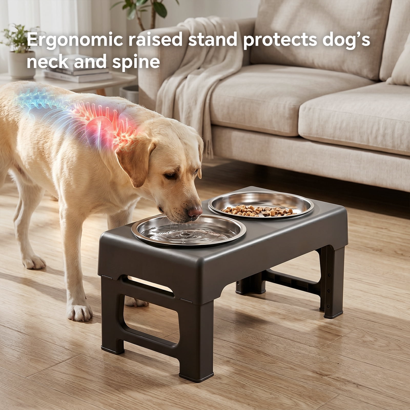 Elevated Dog Bowls Stand with Slow Feeder and 2 Stainless Steel Dishes, Height Adjustable Non-Slip Base Raised Pet Feeder for Most Sizes, Black