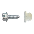 thumbnail image 1 of Muela Porta Placa Generico C/Tornillo Sujeauto Gm Zinc 50 PIEZAS 14.0 x 3/4 Pulgadas, 1 of 3