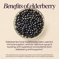 thumbnail image 6 of Nature's Way Sambucus Kids Elderberry Immune Syrup*, with Echinacea, Dietary Supplement, 4 floz, 6 of 10