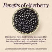 Nature's Way Sambucus Immune Elderberry Syrup, Zinc & Vitamin C, Dietary Supplement, Unisex, 4 fl oz