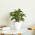 thumbnail image 2 of CoSoTower 2-Pack Smart Self-Watering Planter Pot for Indoor and Outdoor - White - Round Cone, 2 of 6