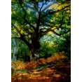 thumbnail image 2 of Vintage Apple Collection 19x24 Black Ornate Wood Framed with Double Matting Museum Art Print Titled - bodmer oak fountainbleau forest, 2 of 4